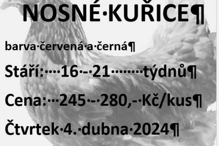 Prodej kuřic Svoboda - Lučice 4. dubna 2024